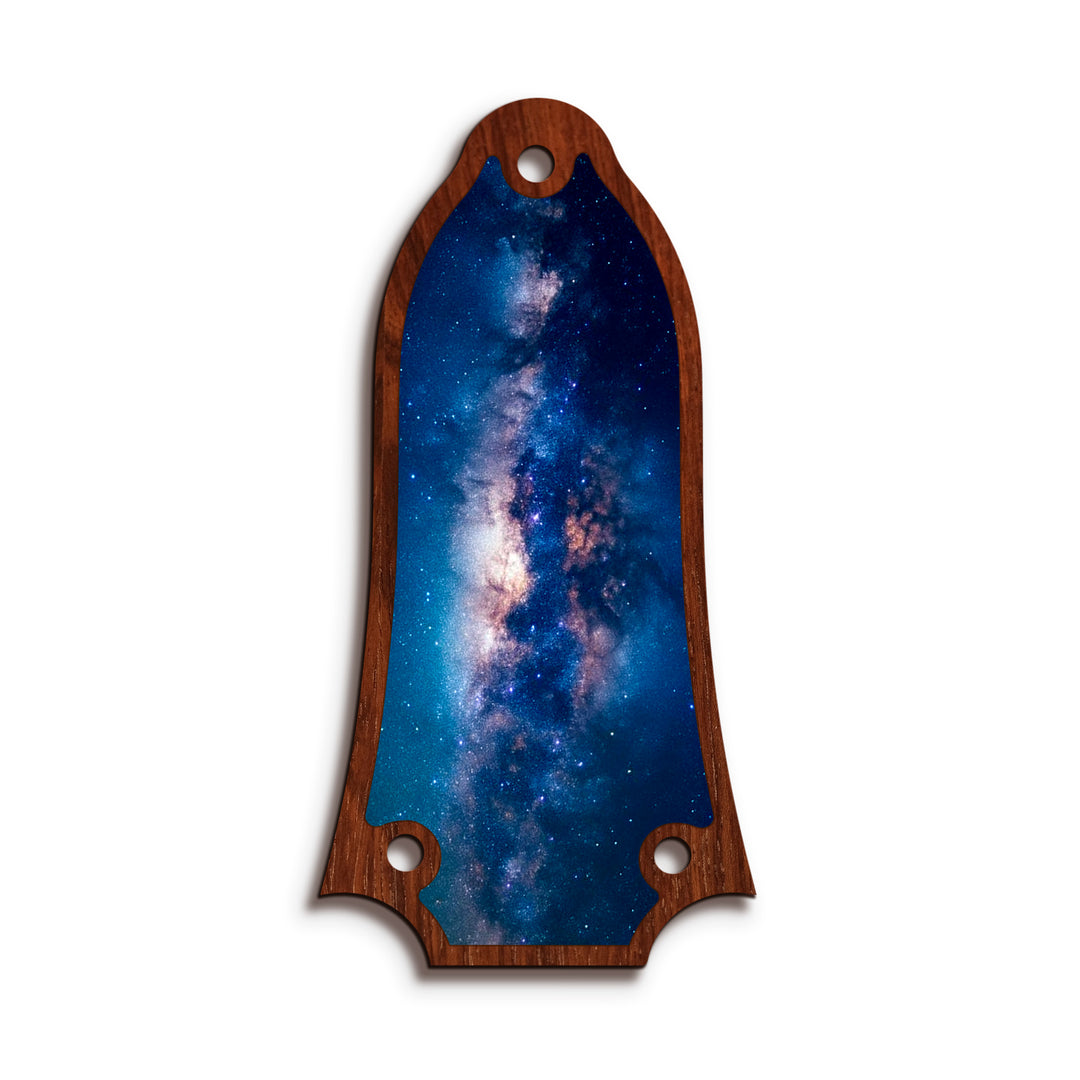 Epiphone TR6 | Truss Rod Covers