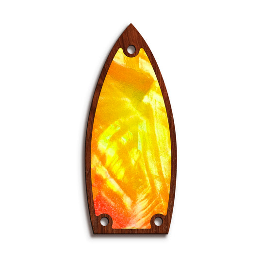 Gretsch TR9 | Truss Rod Covers