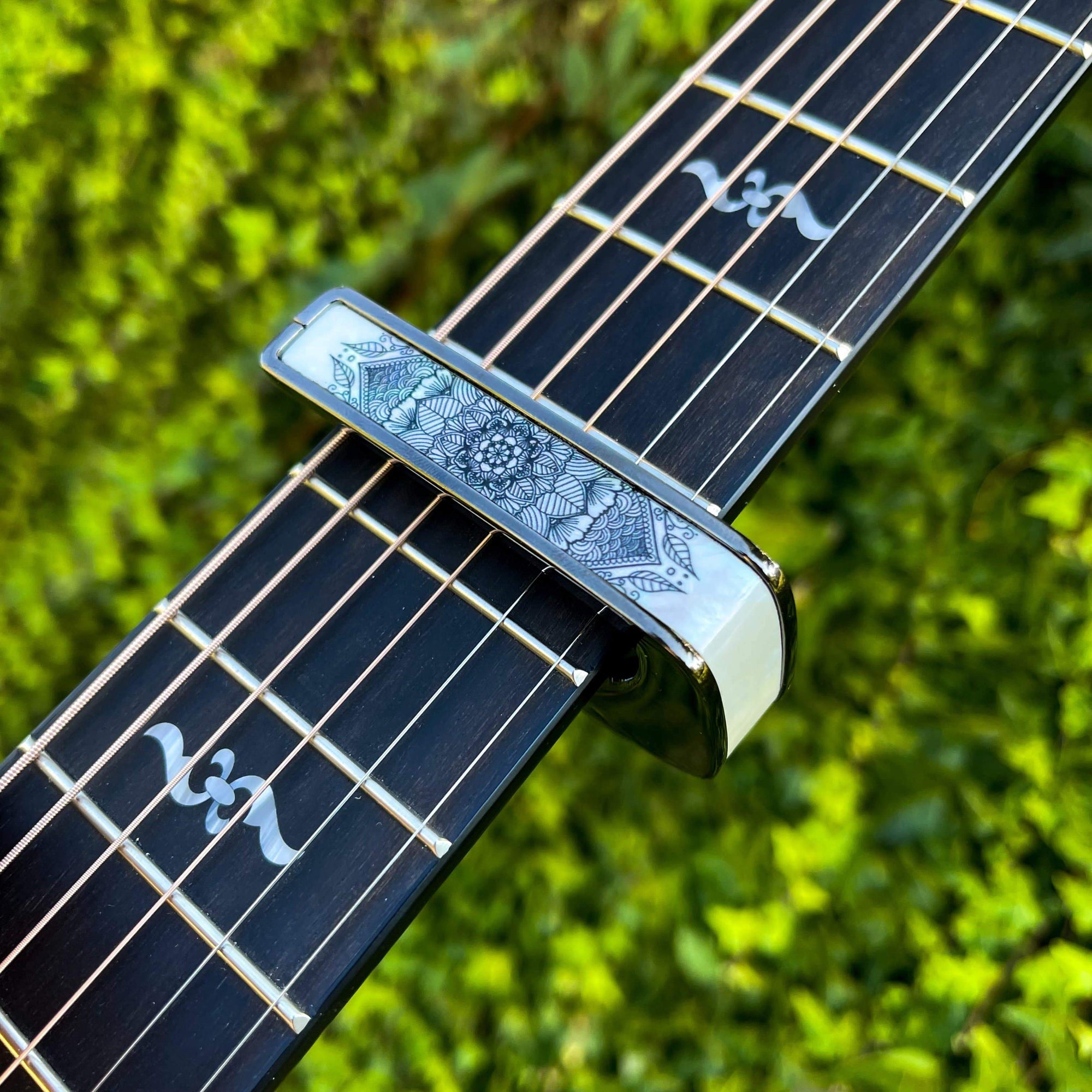 Thalia Capo Exotic Wood Series 24K Gold Hawaiian Koa [新仕様