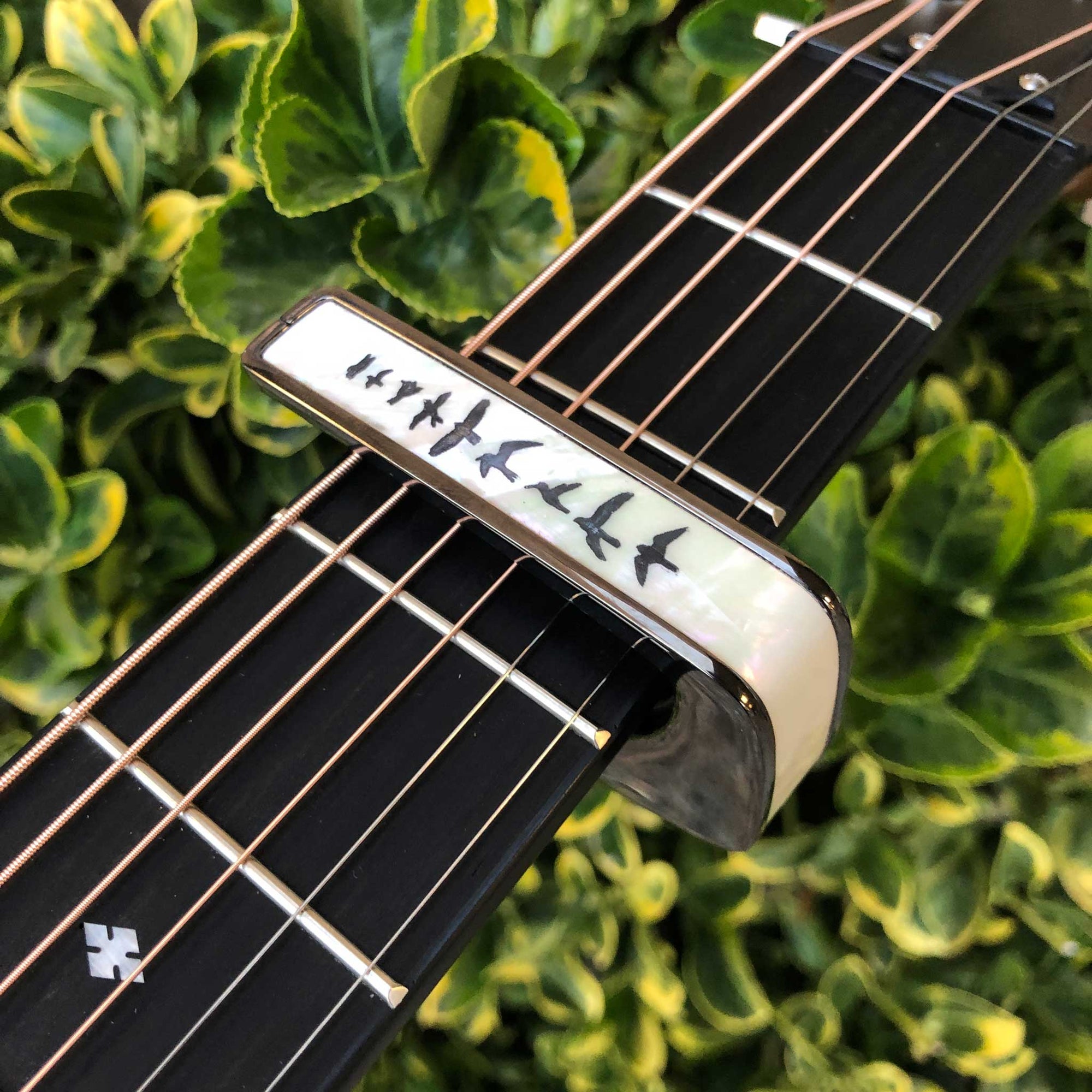 Guitar Capo