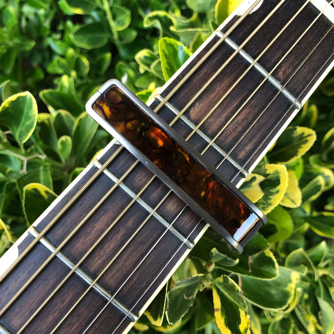 Thalia Capo Kentucky Bourbon Abalone | Capo