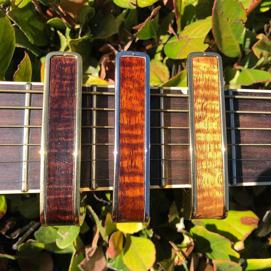thalia-custom-capo-aaa-grade-